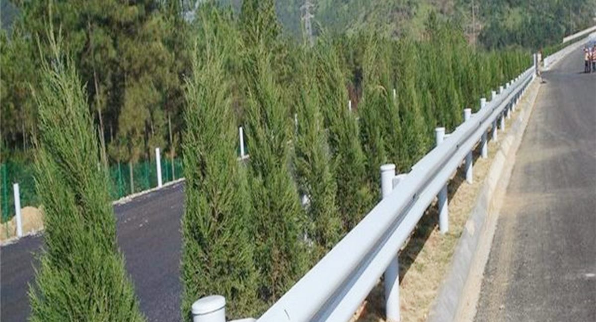 波形護(hù)欄板、鄉(xiāng)村道路護(hù)欄、單波護(hù)欄板世騰加工定制
